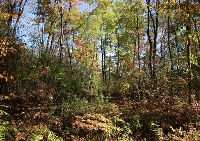 Photo 3 of Land for sale at Tbd 177th Street, Ogilvie, MN 56358 | MLS# 7155357 | Listing updated on 2026-10-08