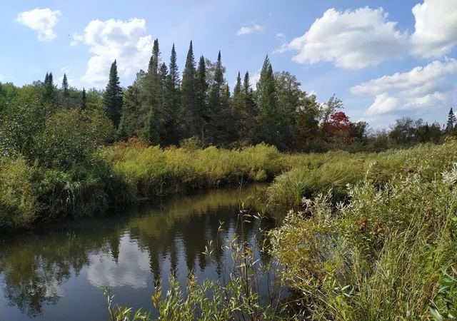 Photo 1 of Land for sale at 56723 Duncan Rd, Sandstone, MN 55072 | MLS# 7155461 | Listing updated on 2026-10-09