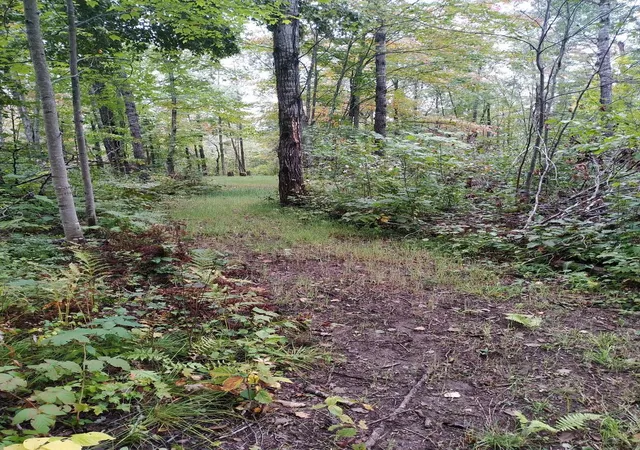 Photo 2 of Land for sale at 56723 Duncan Rd, Sandstone, MN 55072 | MLS# 7155461 | Listing updated on 2026-10-09