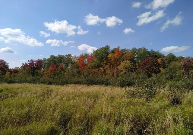 Photo 3 of Land for sale at 56723 Duncan Rd, Sandstone, MN 55072 | MLS# 7155461 | Listing updated on 2026-10-09