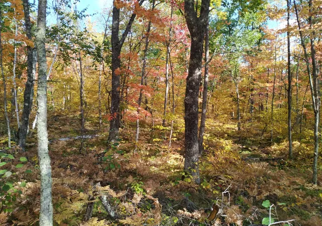 Photo 4 of Land for sale at 56723 Duncan Rd, Sandstone, MN 55072 | MLS# 7155461 | Listing updated on 2026-10-09