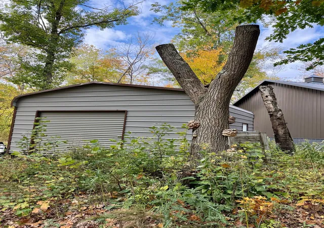 Photo 3 of Single family home for sale at 6592 Graystone, Randall, MN 56475 | MLS# 7155494 | Listing updated on 2026-10-06
