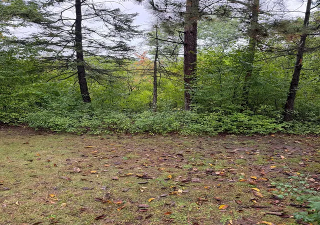 Photo 3 of Single family home for sale at 8245 W Bush Lake Rd, Minneapolis, MN 55438 | MLS# 7155495 | Listing updated on 2026-10-06