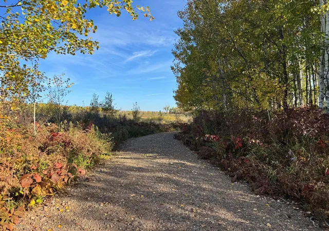 Photo 1 of Land for sale at W11199 Edgewood Rd W, Bruce, WI 54819 | MLS# 7155582 | Listing updated on 2026-10-10
