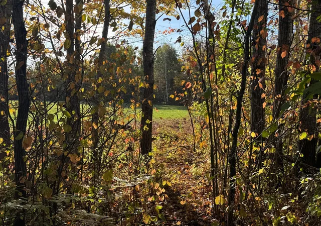 Photo 3 of Land for sale at W11199 Edgewood Rd W, Bruce, WI 54819 | MLS# 7155582 | Listing updated on 2026-10-10
