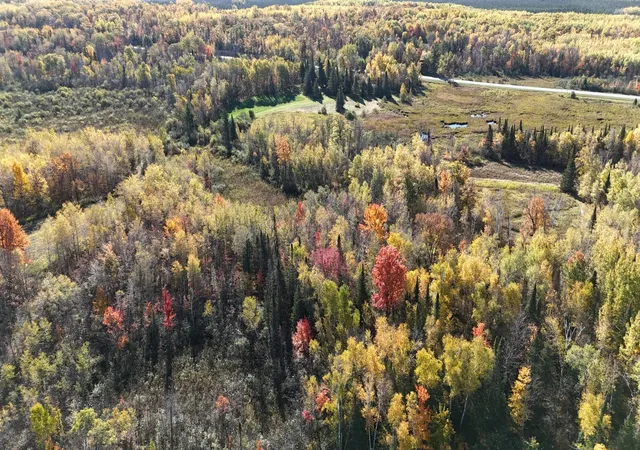 Photo 3 of Land for sale at 13088 220th Street, Mc Grath, MN 56350 | MLS# 7155595 | Listing updated on 2026-10-07