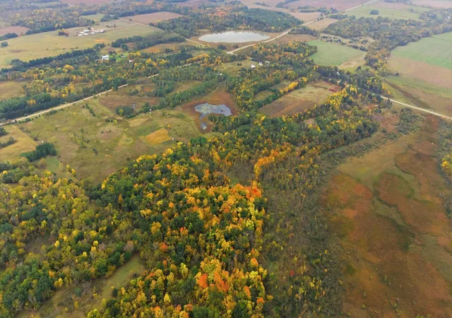 Photo 3 of Land for sale at Tbd 281st Avenue, Grey Eagle, MN 56336 | MLS# 7155604 | Listing updated on 2026-10-06