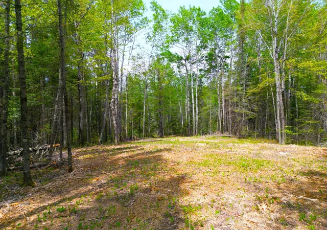Photo 1 of Land for sale at 72xx E Central Lakes Rd Lot G, Eveleth, MN 55734 | MLS# 7155663 | Listing updated on 2026-10-07