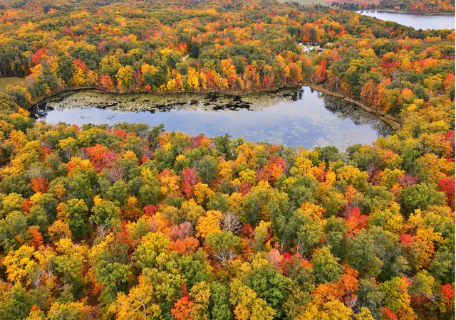 Land for sale at Tbd Red Oak Dr, Garrison, MN 56450 | MLS# 7155673