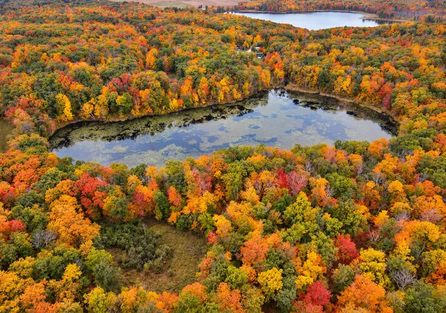 Photo 3 of Land for sale at Tbd Red Oak Dr, Garrison, MN 56450 | MLS# 7155673 | Listing updated on 2026-10-06