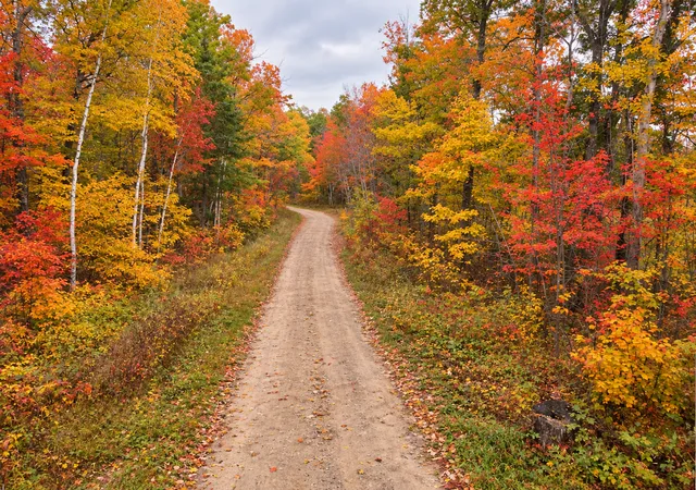Photo 4 of Land for sale at Tbd Red Oak Dr, Garrison, MN 56450 | MLS# 7155673 | Listing updated on 2026-10-06