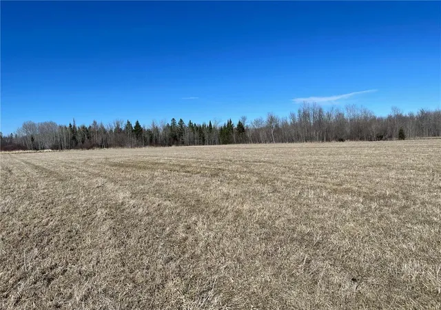 Photo 3 of Land for sale at Tbd County Hwy #133, Meadowlands, MN 55765 | MLS# 7155714 | Listing updated on 2026-10-06