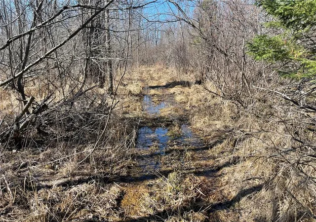 Photo 4 of Land for sale at Tbd County Hwy #133, Meadowlands, MN 55765 | MLS# 7155714 | Listing updated on 2026-10-06