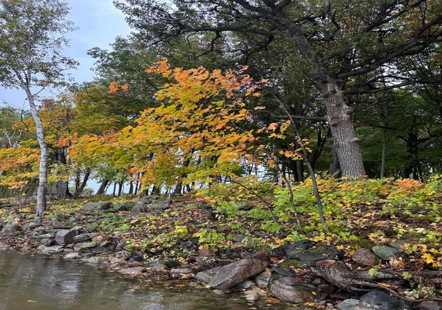 Photo 2 of Land for sale at Lot 7 Blk 1 Serenity Ln Sw, Alexandria, MN 56308 | MLS# 7155719 | Listing updated on 2026-10-06