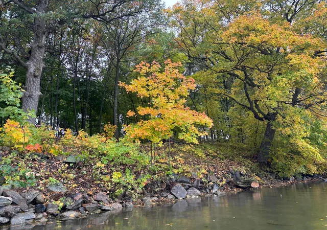 Photo 4 of Land for sale at Lot 7 Blk 1 Serenity Ln SW, Alexandria, MN 56308 | MLS# 7155719 | Listing updated on 2026-10-06