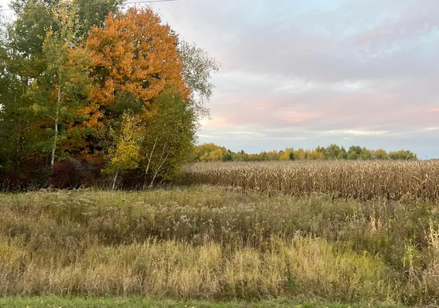 Land for sale at 000 Holly Rd, Pine City, MN 55063 | MLS# 7156235