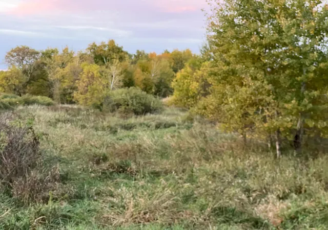 Photo 2 of Land for sale at 000 Holly Rd, Pine City, MN 55063 | MLS# 7156235 | Listing updated on 2026-10-07