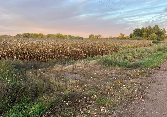 Photo 3 of Land for sale at 000 Holly Rd, Pine City, MN 55063 | MLS# 7156235 | Listing updated on 2026-10-07