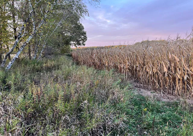 Photo 3 of Land for sale at 000 Holly Rd, Pine City, MN 55063 | MLS# 7156235 | Listing updated on 2026-10-07