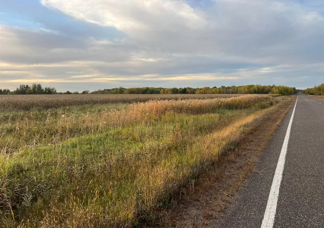 Photo 2 of Land for sale at 0000 Holly Rd, Pine City, MN 55063 | MLS# 7156241 | Listing updated on 2026-10-07