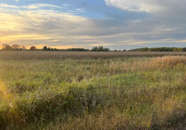 Photo 4 of Land for sale at 0000 Holly Rd, Pine City, MN 55063 | MLS# 7156241 | Listing updated on 2026-10-07