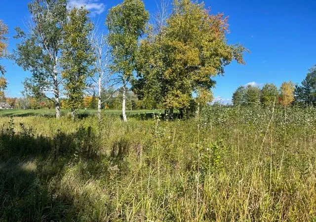 Photo 1 of Land for sale at Tbd 471st Lane, Mc Gregor, MN 55760 | MLS# 7156308 | Listing updated on 2026-10-09