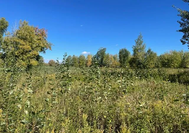 Photo 3 of Land for sale at Tbd 471st Lane, Mc Gregor, MN 55760 | MLS# 7156308 | Listing updated on 2026-10-09