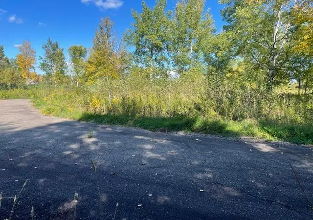 Photo 4 of Land for sale at Tbd 471st Lane, Mc Gregor, MN 55760 | MLS# 7156308 | Listing updated on 2026-10-09