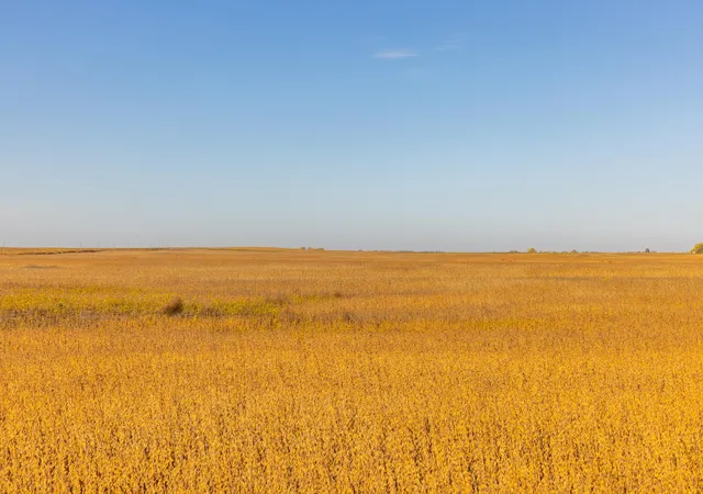 Photo 3 of Land for sale at Tbd 46 St SE Lot 1, Alice, ND 58031 | MLS# 7156325 | Listing updated on 2026-10-08