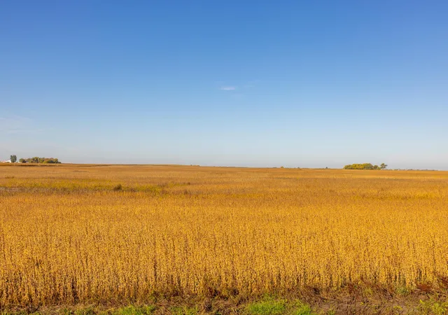 Photo 4 of Land for sale at Tbd 46 St SE Lot 1, Alice, ND 58031 | MLS# 7156325 | Listing updated on 2026-10-08