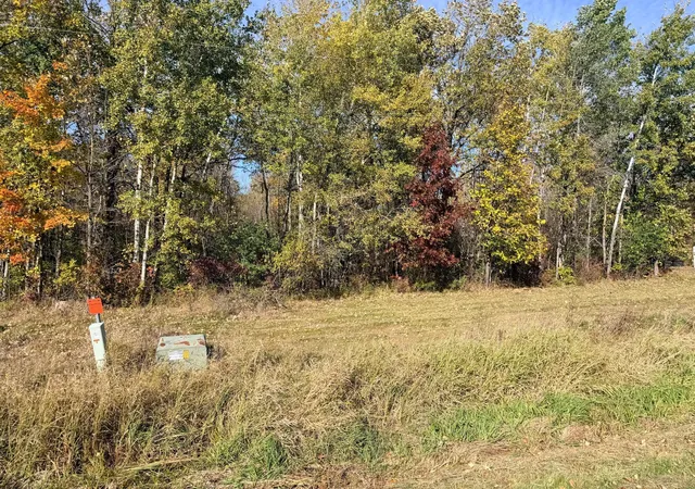 Photo 2 of Land for sale at 12168 250th Street, Milaca, MN 56353 | MLS# 7156358 | Listing updated on 2026-10-08