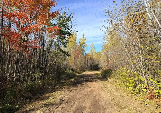 Photo 3 of Land for sale at 12168 250th Street, Milaca, MN 56353 | MLS# 7156358 | Listing updated on 2026-10-08