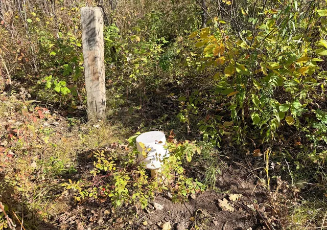 Photo 3 of Land for sale at 12168 250th Street, Milaca, MN 56353 | MLS# 7156358 | Listing updated on 2026-10-08