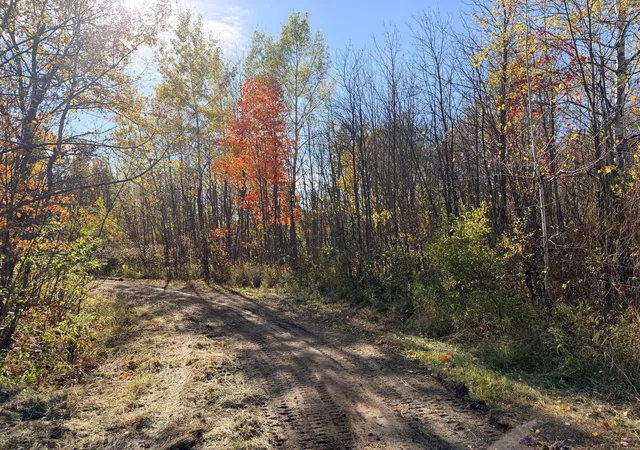 Photo 4 of Land for sale at 12168 250th Street, Milaca, MN 56353 | MLS# 7156358 | Listing updated on 2026-10-08