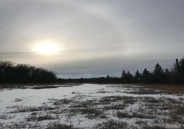 Photo 4 of Land for sale at 10498 County Rd 30, Big Falls, MN 56627 | MLS# 7156460 | Listing updated on 2026-10-07