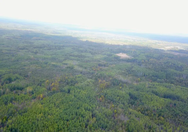 Photo 3 of Land for sale at Tbd Industrial Ave, Littlefork, MN 56668 | MLS# 7156484 | Listing updated on 2026-10-07