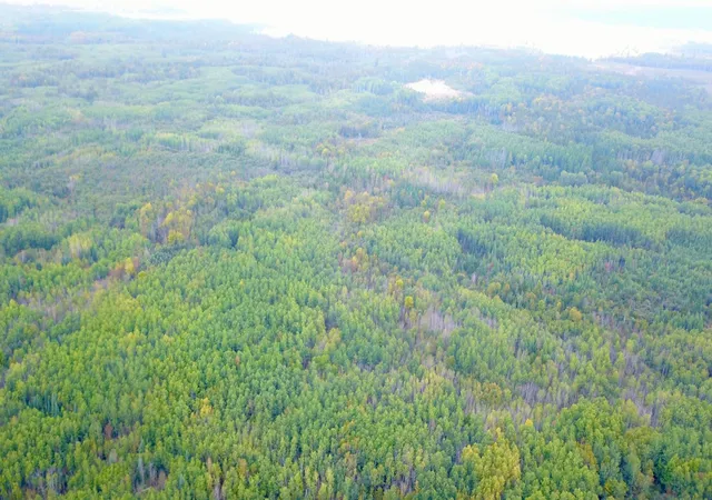 Photo 3 of Land for sale at Tbd Industrial Ave, Littlefork, MN 56668 | MLS# 7156484 | Listing updated on 2026-10-07