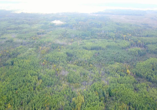 Photo 4 of Land for sale at Tbd Industrial Ave, Littlefork, MN 56668 | MLS# 7156484 | Listing updated on 2026-10-07
