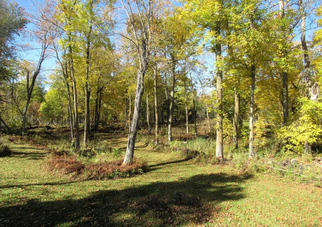 Photo 19 of Single family home for sale at 14281 County Rd 116, Merrifield, MN 56465 | MLS# 7156708 | Listing updated on 2026-10-07