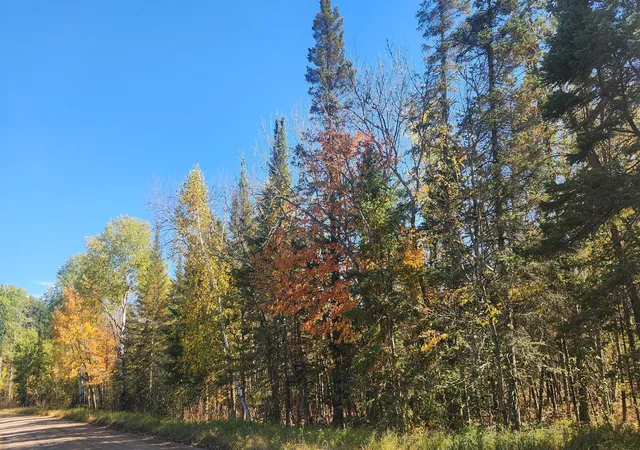 Photo 1 of Land for sale at Tbd County Rd 55 Ne, Remer, MN 56672 | MLS# 7156778 | Listing updated on 2026-10-07