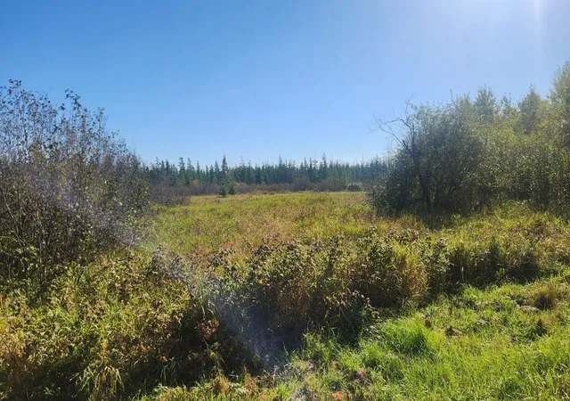 Photo 1 of Land for sale at Tbd County Rd 55 Ne, Remer, MN 56672 | MLS# 7156778 | Listing updated on 2026-10-09