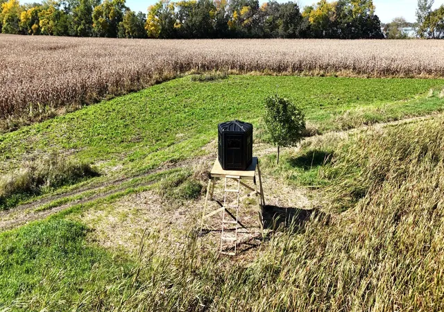 Photo 2 of Land for sale at Xxx 230th, Minnesota Lake, MN 56068 | MLS# 7156840 | Listing updated on 2026-10-08