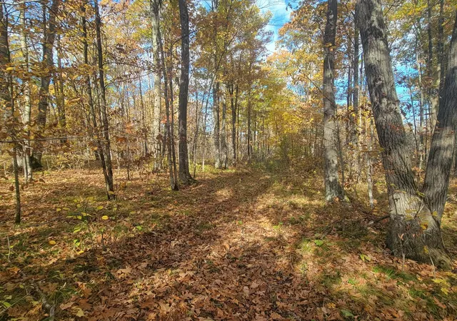 Photo 3 of Land for sale at 32147 30th Avenue, Isle, MN 56342 | MLS# 7156867 | Listing updated on 2026-10-08
