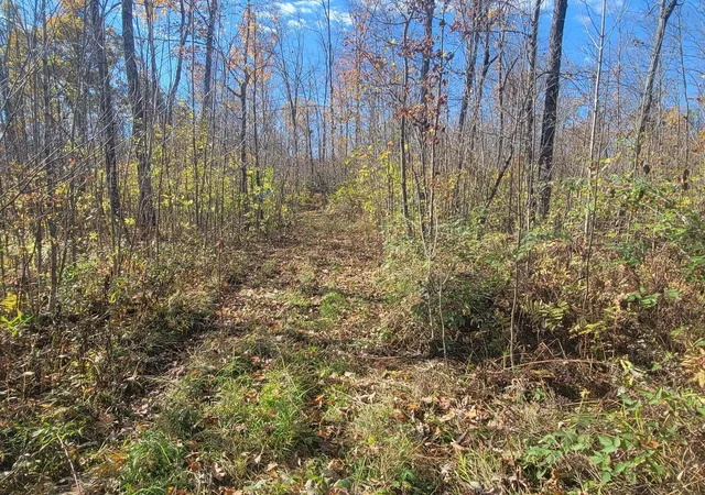 Photo 3 of Land for sale at 32147 30th Avenue, Isle, MN 56342 | MLS# 7156867 | Listing updated on 2026-10-09