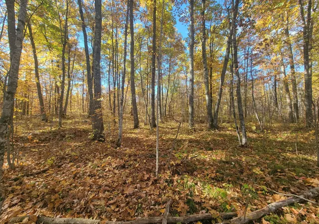 Photo 4 of Land for sale at 32147 30th Avenue, Isle, MN 56342 | MLS# 7156867 | Listing updated on 2026-10-09