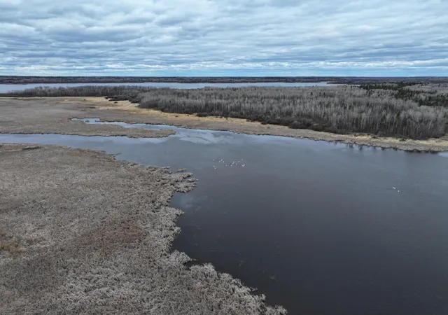 Photo 1 of Land for sale at 090 Youngs Bay Dr, Angle Inlet, MN 56711 | MLS# 7157075 | Listing updated on 2026-10-08