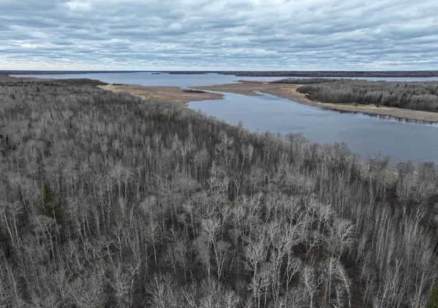 Photo 2 of Land for sale at 000 Youngs Bay Dr, Angle Inlet, MN 56711 | MLS# 7157077 | Listing updated on 2026-10-08
