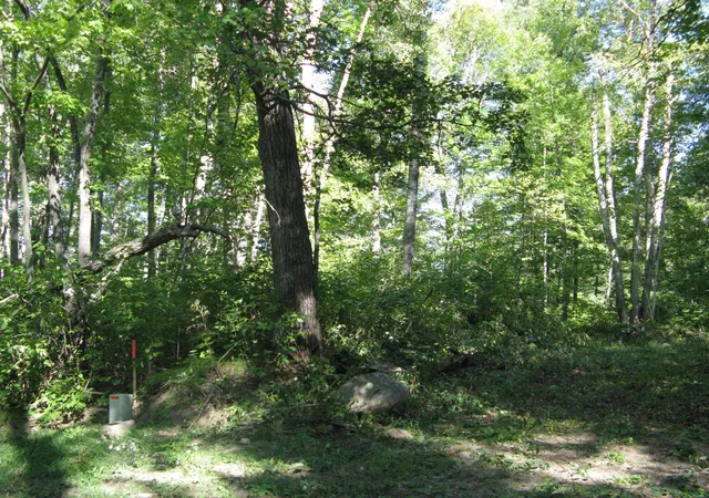 Land for sale at Tbd Alpine Dr, Pequot Lakes, MN 56472 | MLS# 7157084