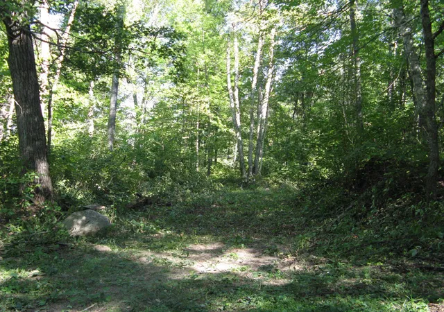 Photo 2 of Land for sale at Tbd Alpine Dr, Pequot Lakes, MN 56472 | MLS# 7157084 | Listing updated on 2026-10-08