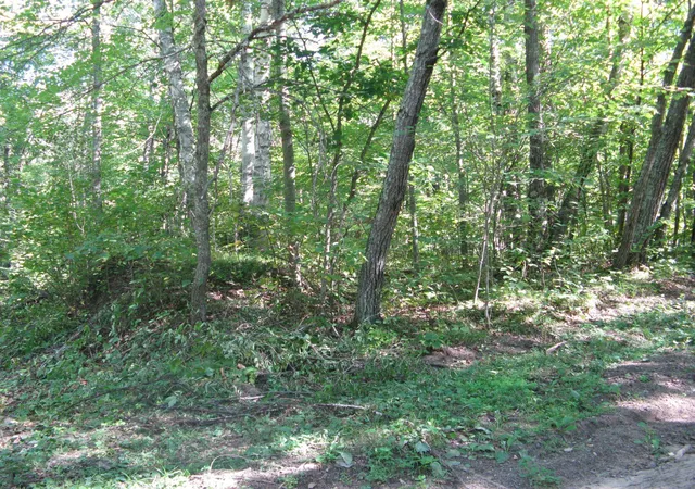 Photo 3 of Land for sale at Tbd Alpine Dr, Pequot Lakes, MN 56472 | MLS# 7157084 | Listing updated on 2026-10-08